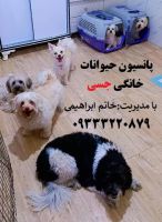 ادامه مطلب...