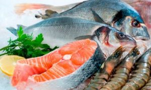 b_300_300_16777215_00_images_mahi.jpg